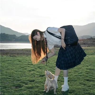 怪魔与艺伎